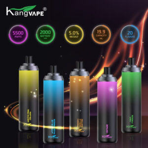 5500 Rechargeable Disposable Vape